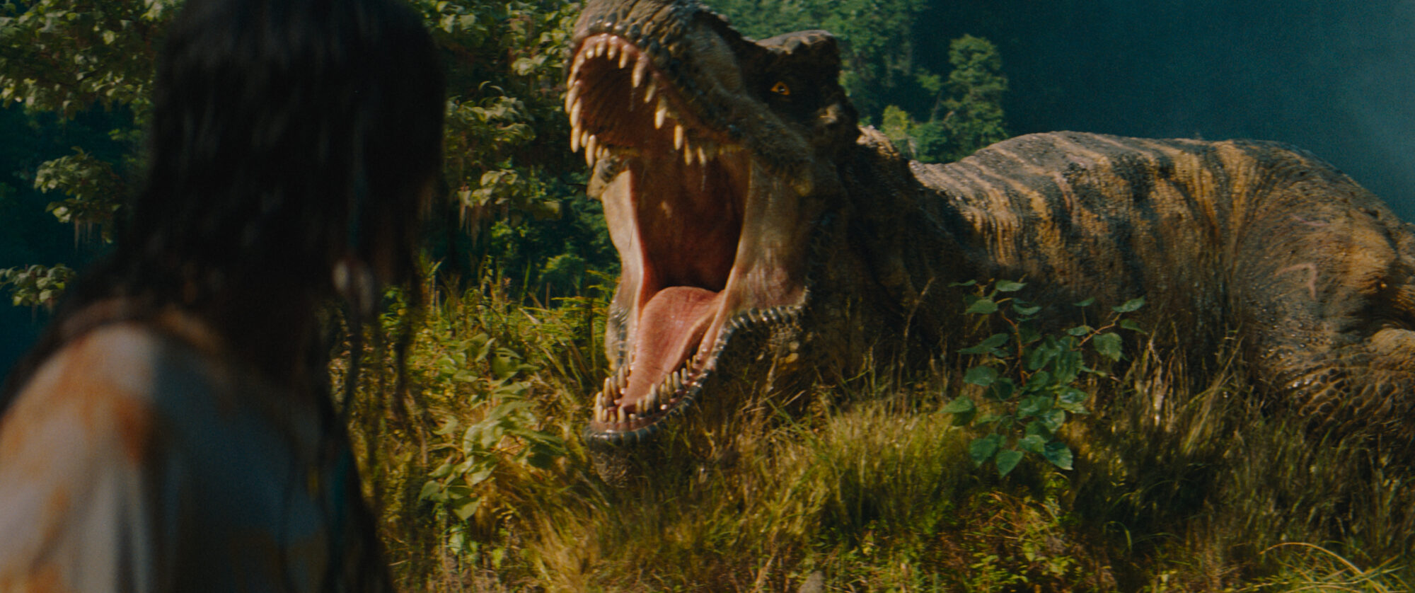 All we know about the Jurassic World Rebirth D-Rex - Pubity