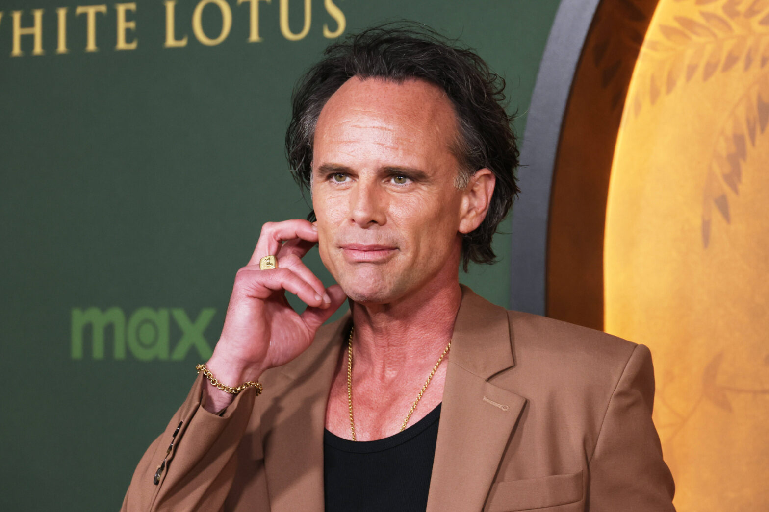 Walton Goggins bit by snake filming The White Lotus- Pubity